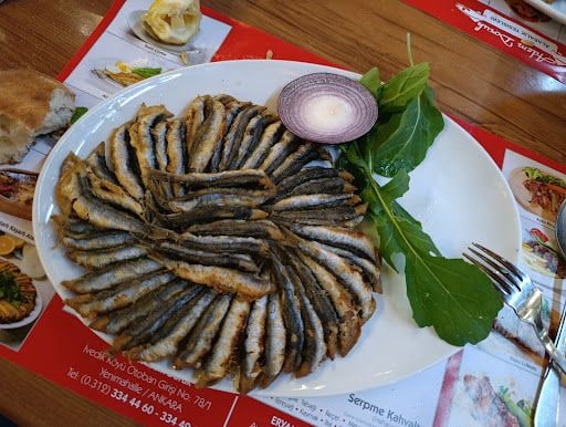 Yorum fotoğrafı 1