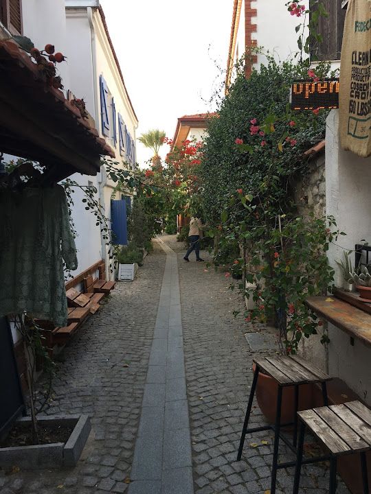 Fotoğraf 46