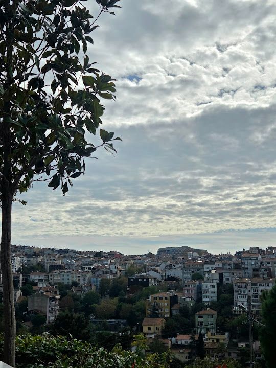 Fotoğraf 47