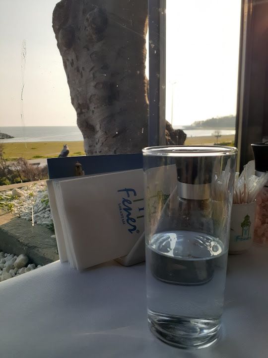 Fotoğraf 48