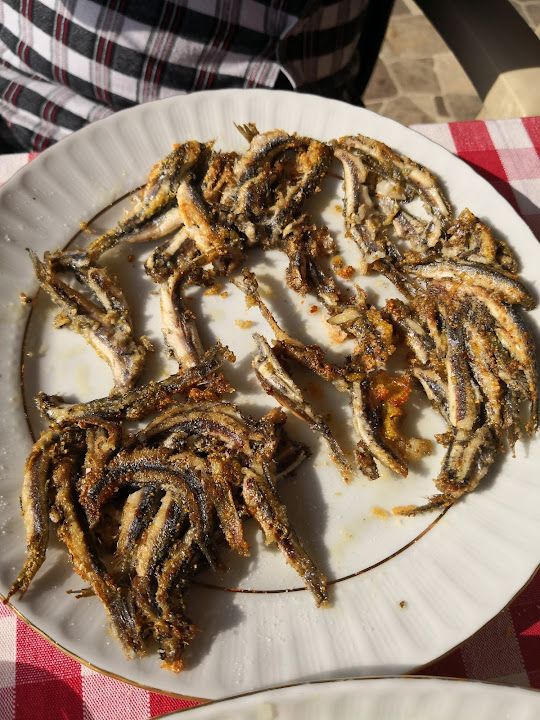 Fotoğraf 22