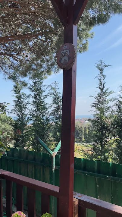 Fotoğraf 29