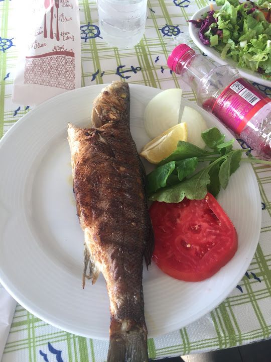 Fotoğraf 36