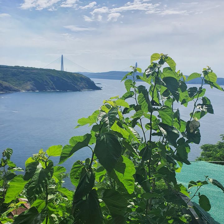 Yorum fotoğrafı 4
