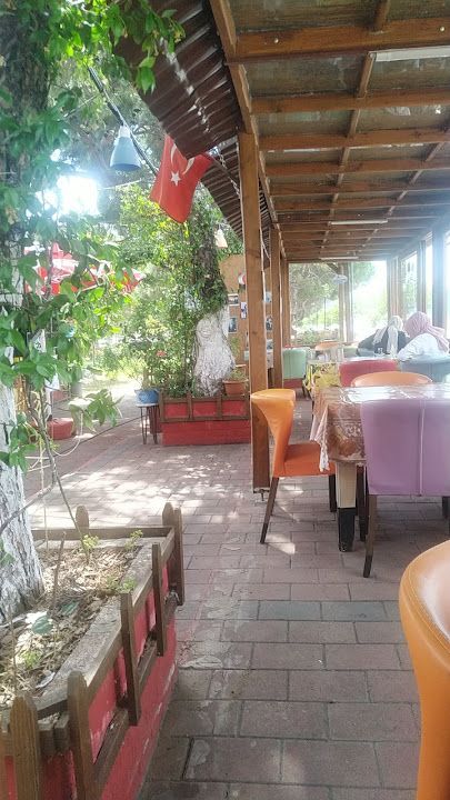 Yorum fotoğrafı 3