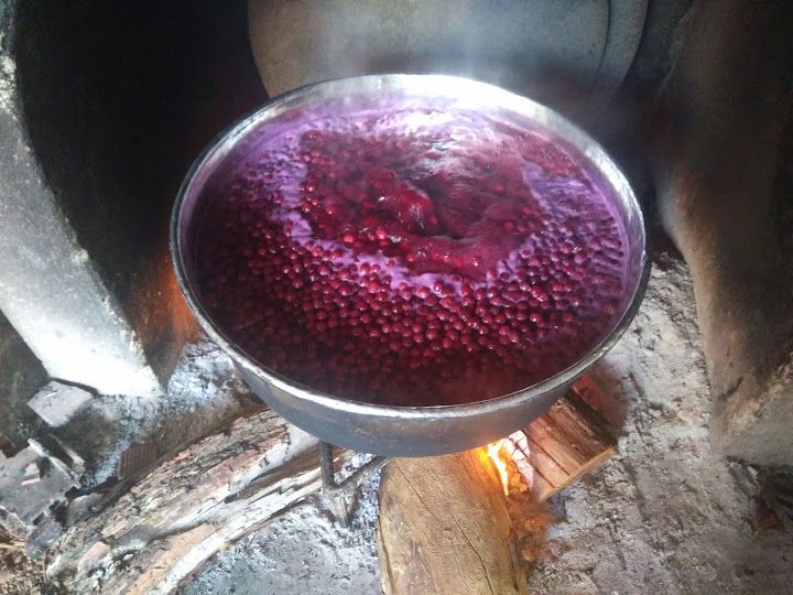 Fotoğraf 12