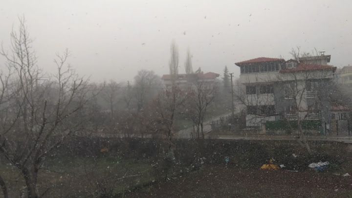 Fotoğraf 15