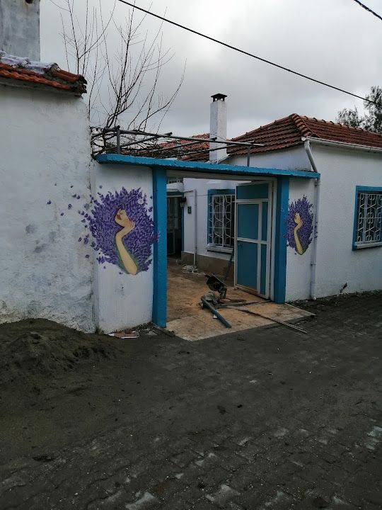 Fotoğraf 5