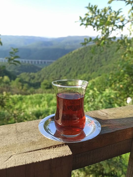 Fotoğraf 33