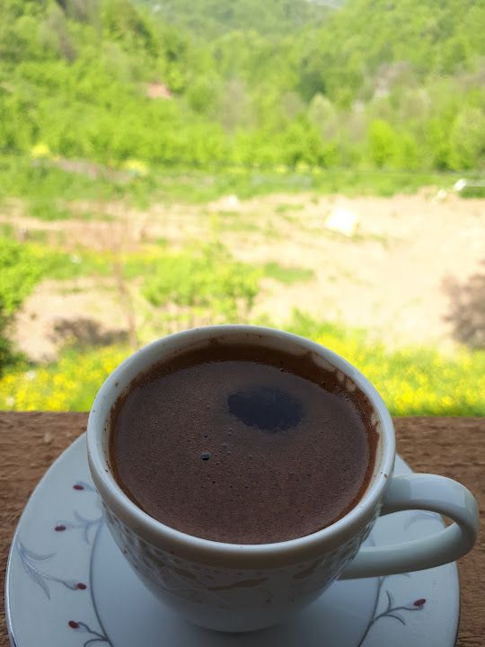 Fotoğraf 39
