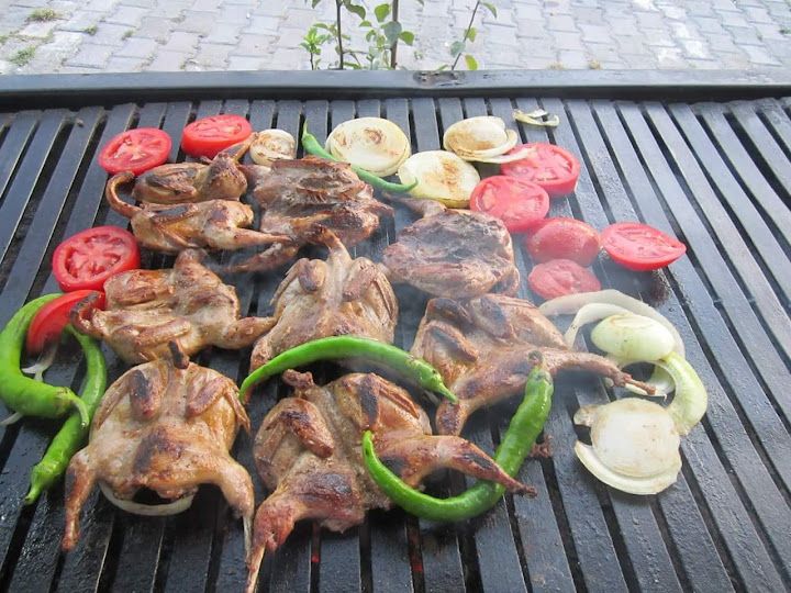 Fotoğraf 52