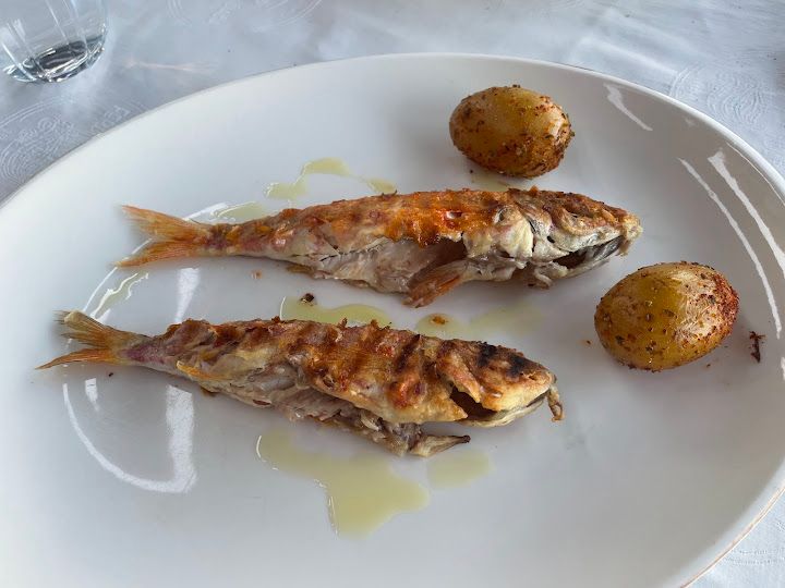Fotoğraf 15
