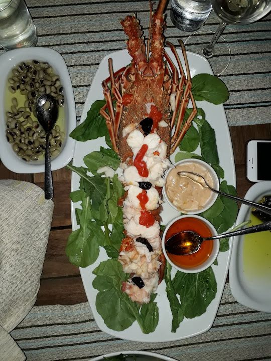Fotoğraf 50