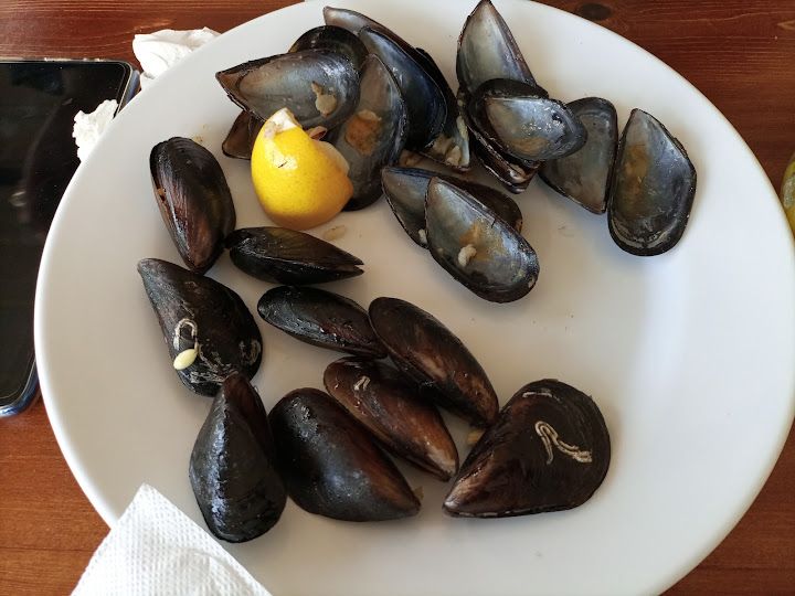 Fotoğraf 26