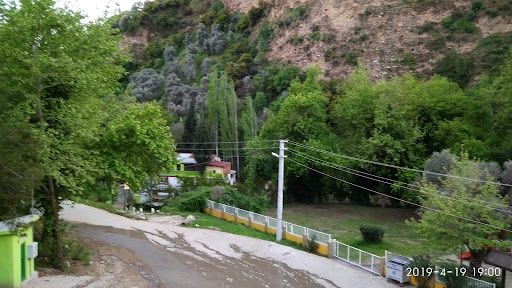 Fotoğraf 14