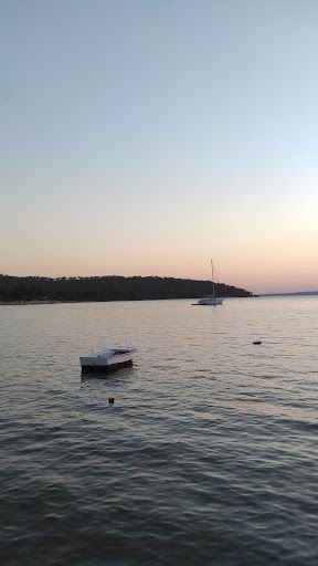 Fotoğraf 15