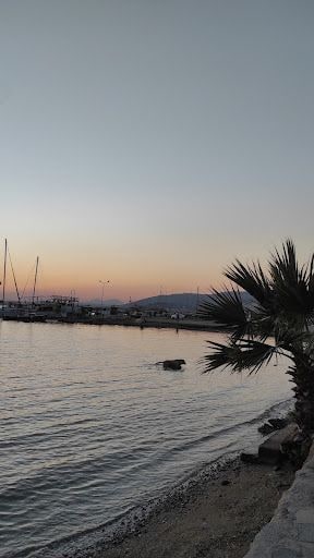 Fotoğraf 19