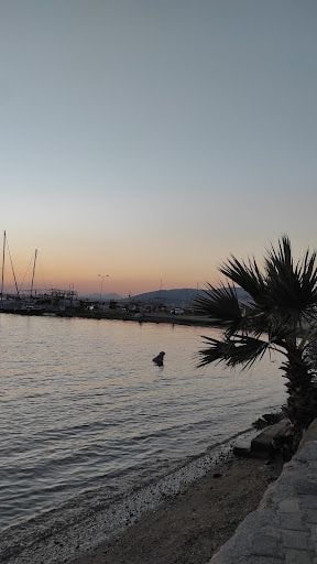 Fotoğraf 20