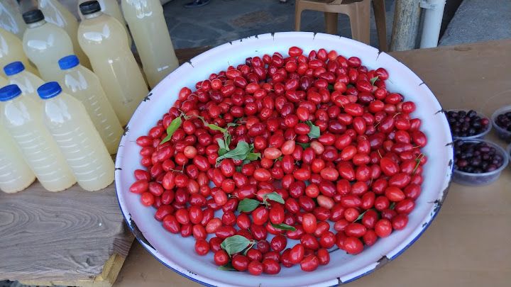 Fotoğraf 19