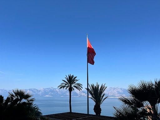 Yorum fotoğrafı 7