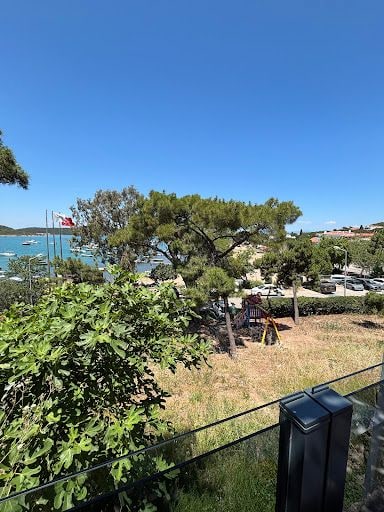 Fotoğraf 15