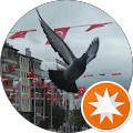 Ferhat Safran