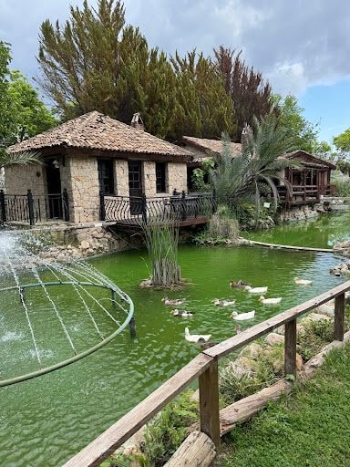Yorum fotoğrafı 4