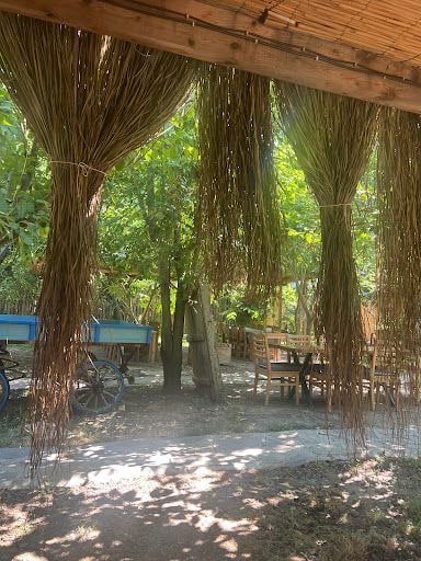 Yorum fotoğrafı 6