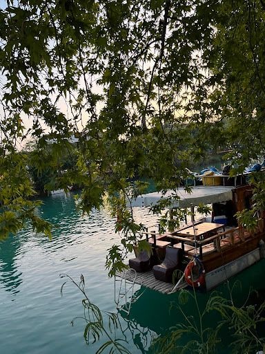 Fotoğraf 12