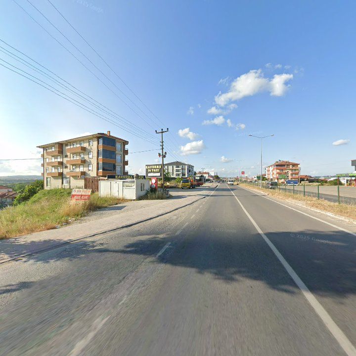Fotoğraf 12