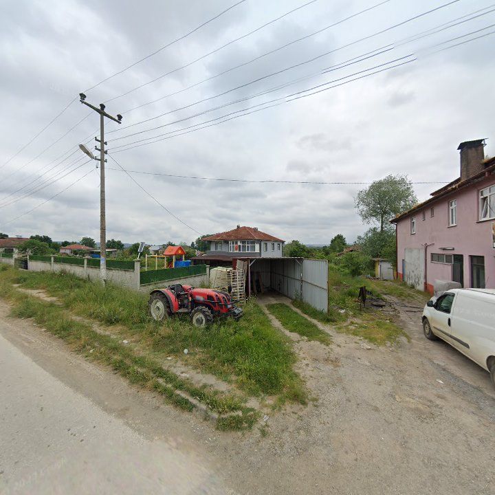 Fotoğraf 6