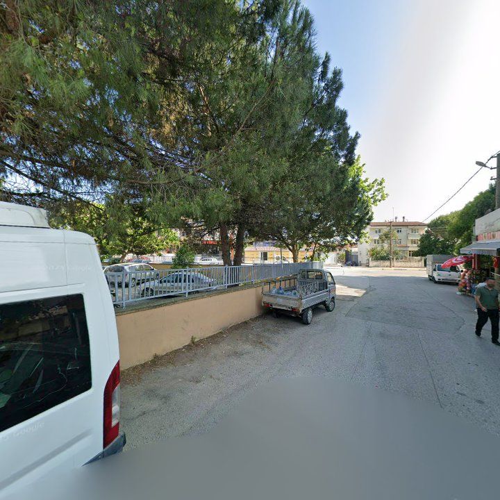 Fotoğraf 8