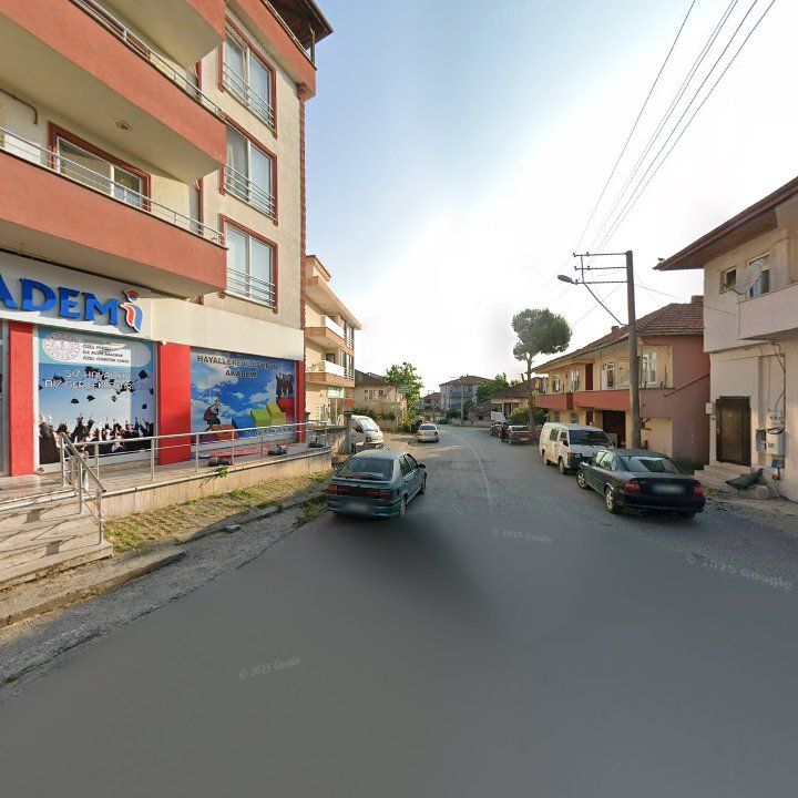 Fotoğraf 7