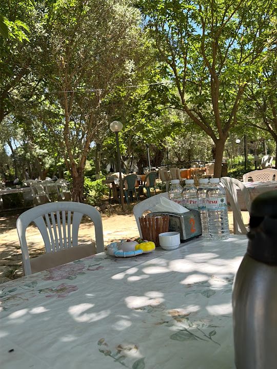 Fotoğraf 31