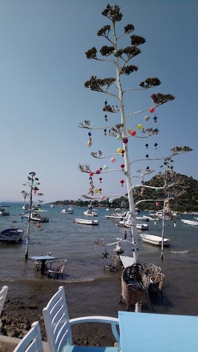 Fotoğraf 27