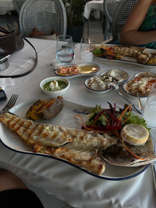 Fotoğraf 42