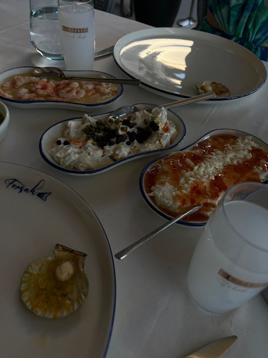 Fotoğraf 43