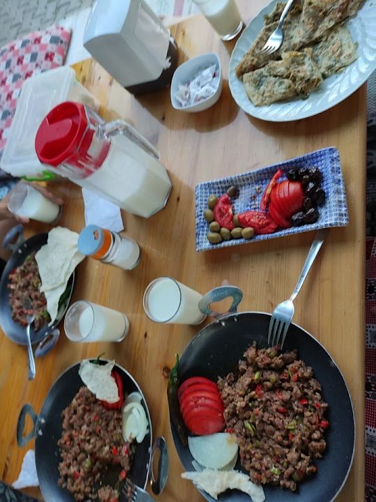 Fotoğraf 29