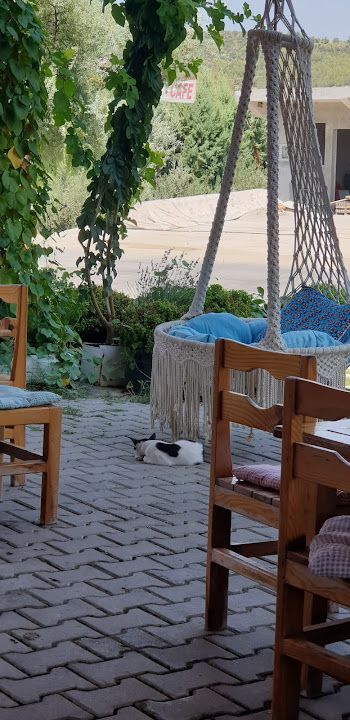 Fotoğraf 49