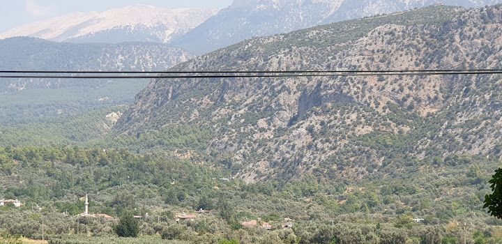 Fotoğraf 46