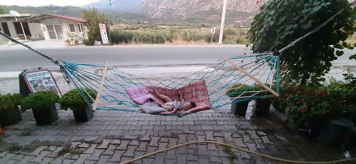 Fotoğraf 52