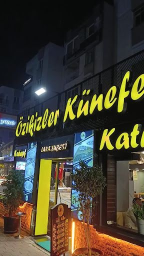 Fotoğraf 39