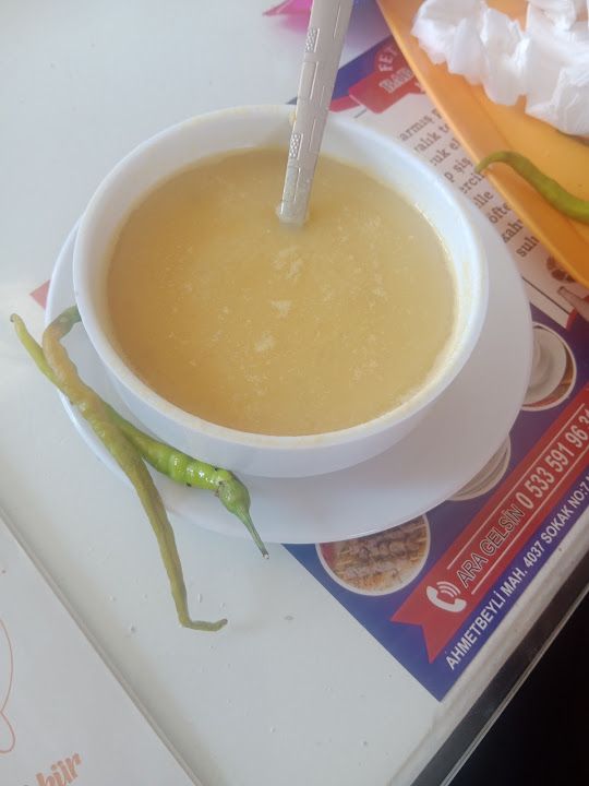 Fotoğraf 16