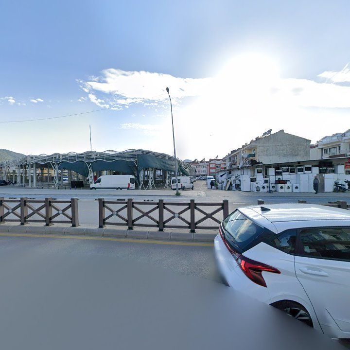Fotoğraf 14