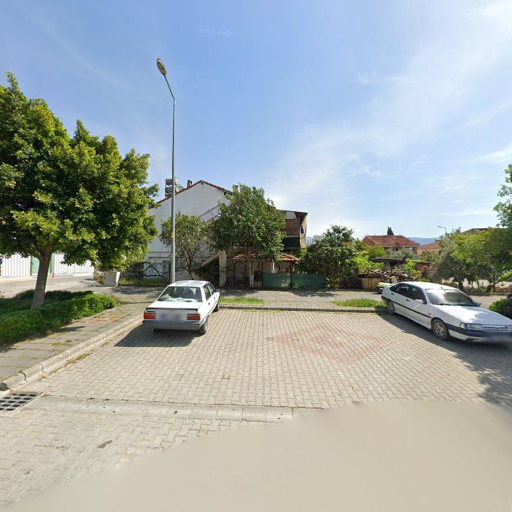 Fotoğraf 10