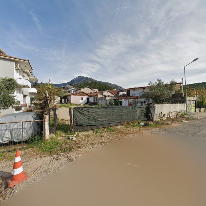 Fotoğraf 11