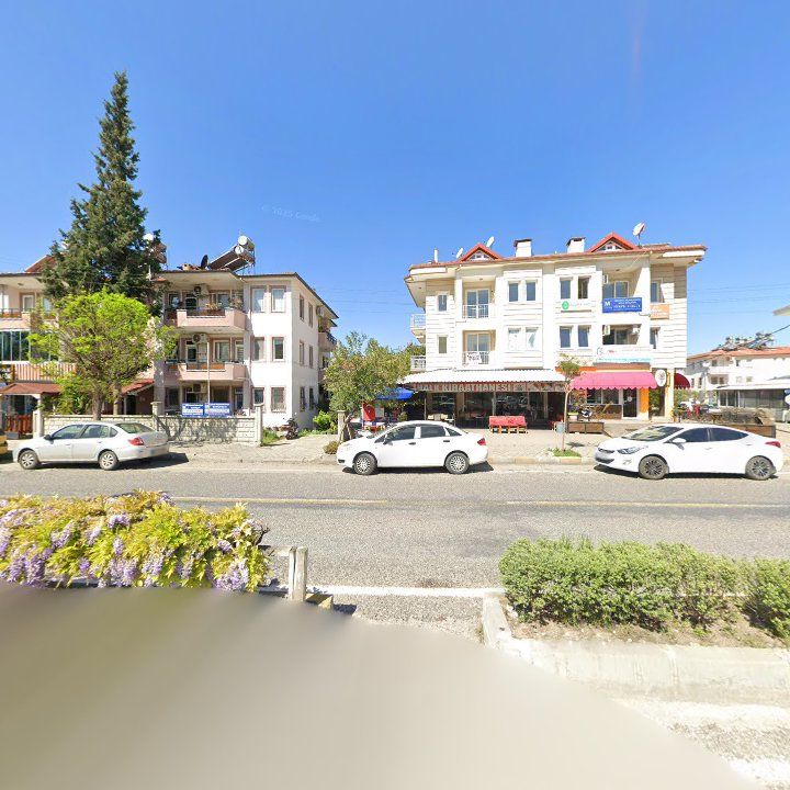 Fotoğraf 15