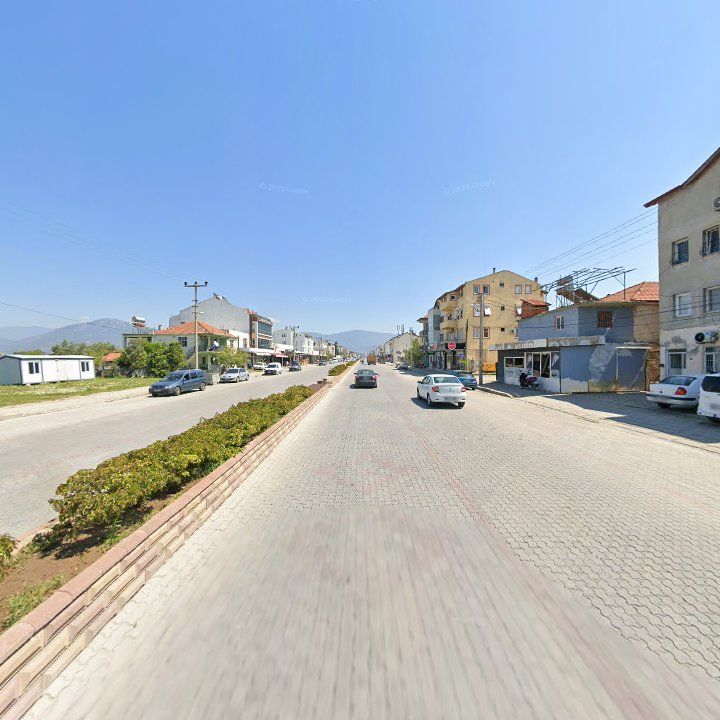 Fotoğraf 13