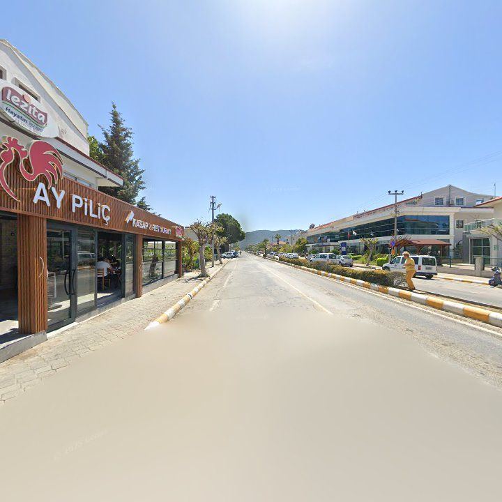 Fotoğraf 8