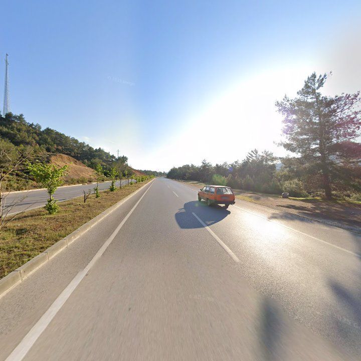 Fotoğraf 8
